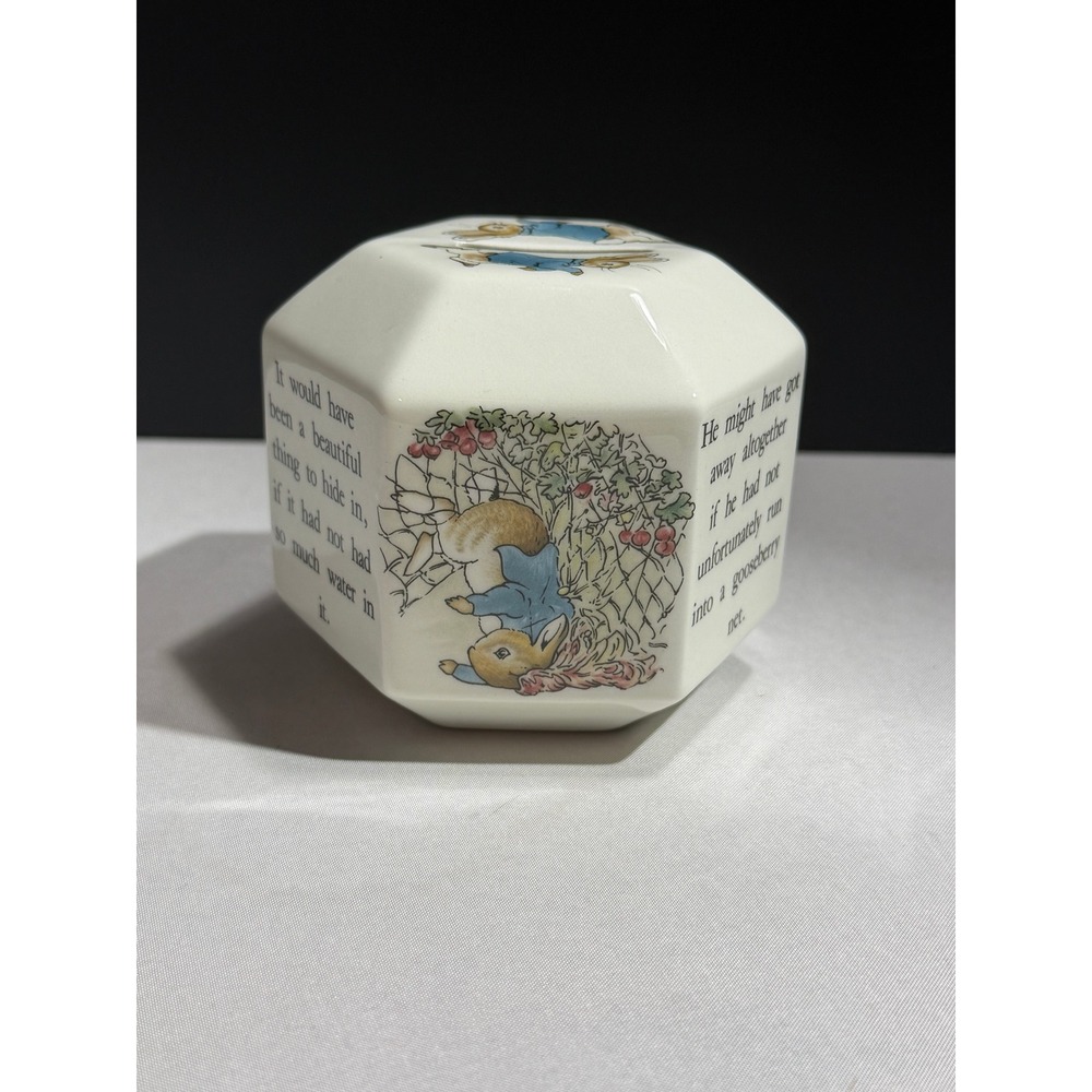 Wedgwood Peter Rabbit Porcelain Hexagonal Money Box Bank Beatrix Potter Story
